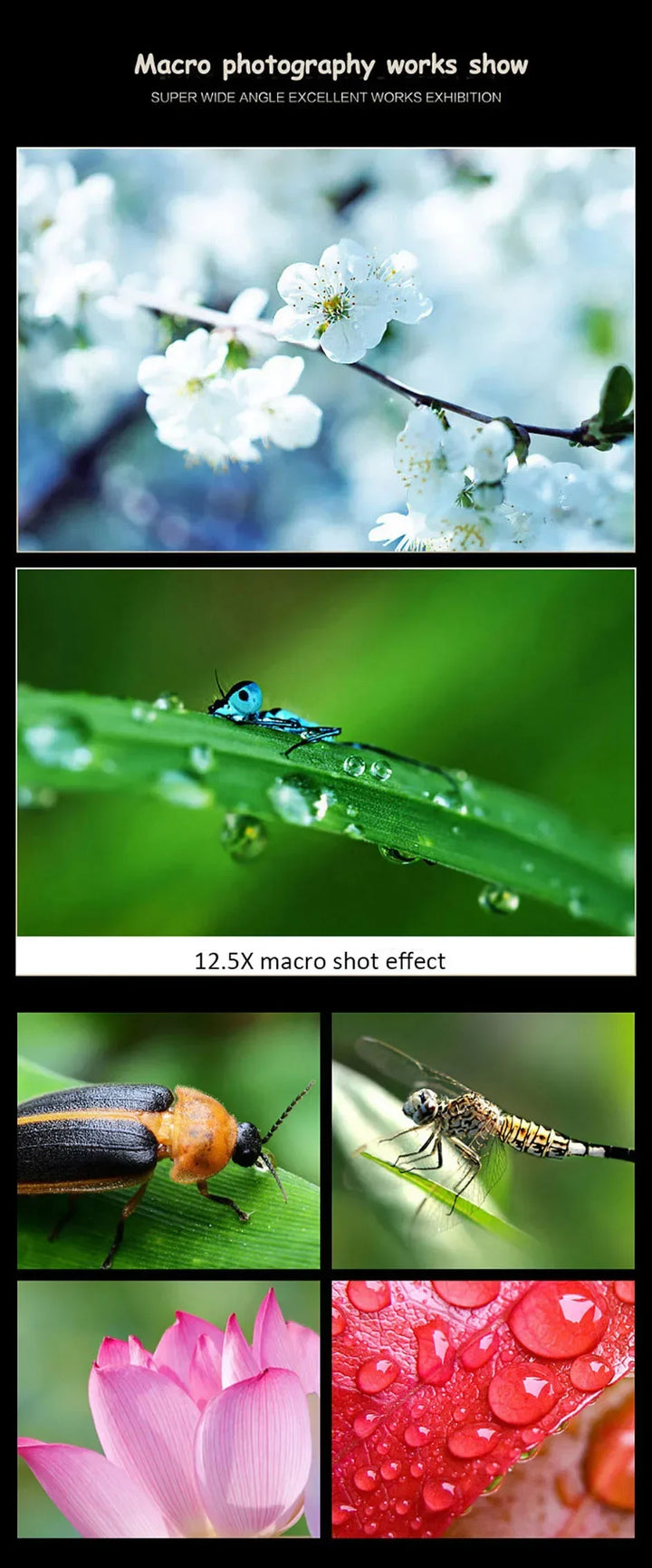 Ultra Wide Angle Lens for Mobile Phone, Macro Lens, Universal Clip, HD, SLR, External Camera Lenses, 0.45X